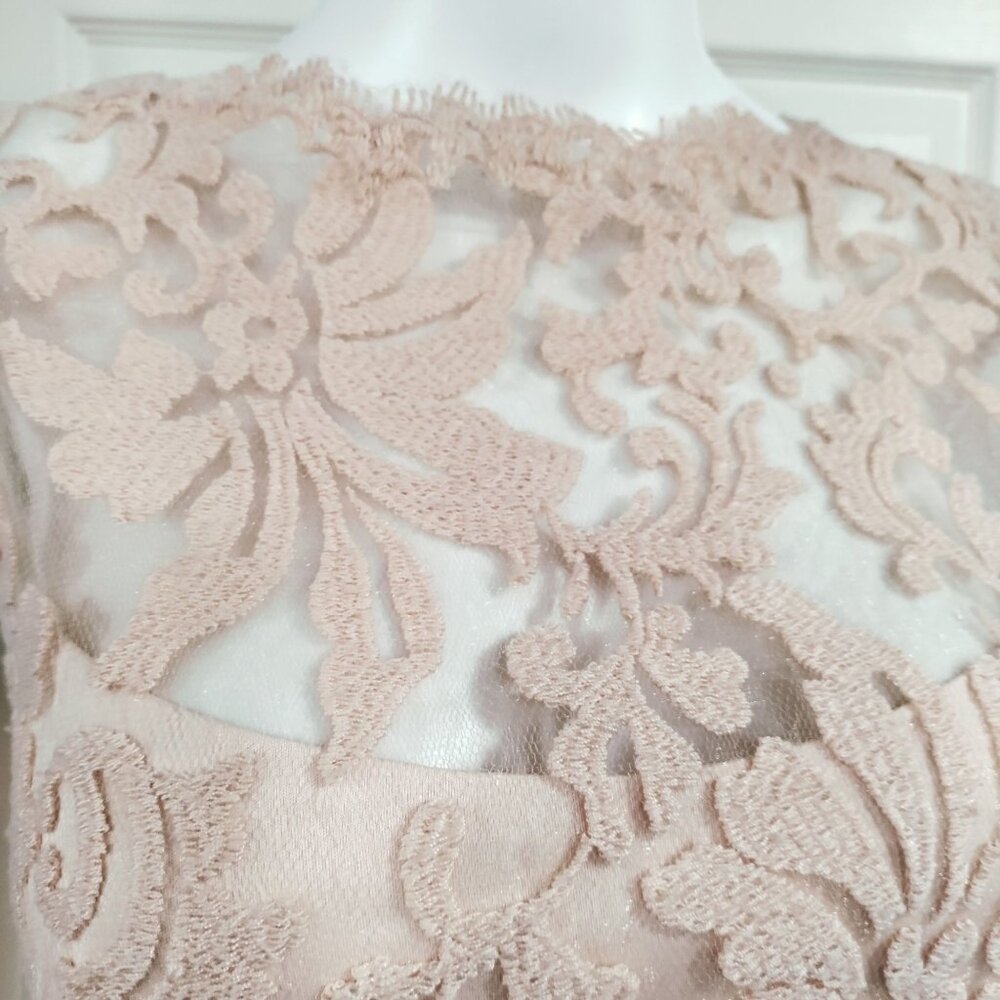 Tadashi Shoji Sheath Dress S Beige Rose Pink Lace Sleeveless - Picture 5 of 10